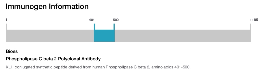 Phospholipase C beta 2 Polyclonal Antibody
