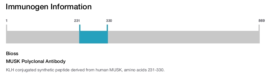 MUSK Polyclonal Antibody