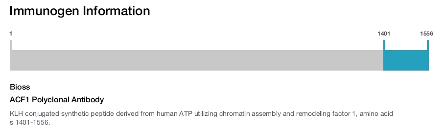ACF1 Polyclonal Antibody