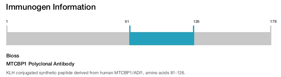 MTCBP1 Polyclonal Antibody