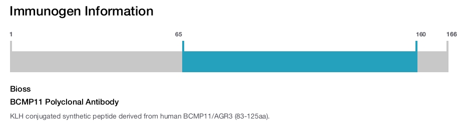 BCMP11 Polyclonal Antibody