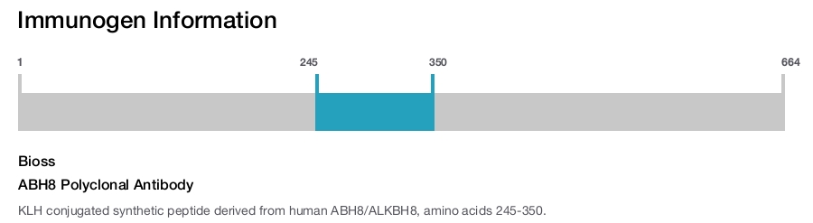 ABH8 Polyclonal Antibody