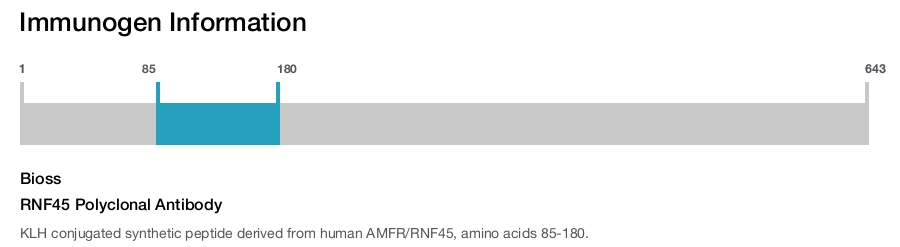RNF45 Polyclonal Antibody