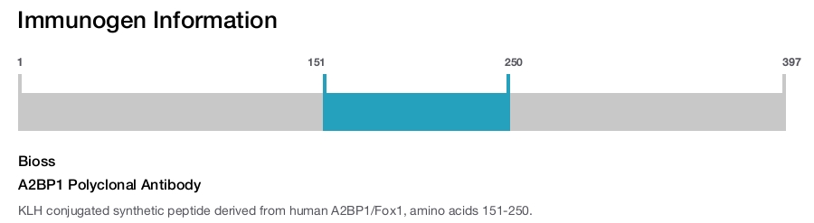 A2BP1 Polyclonal Antibody