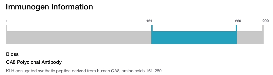 CA8 Polyclonal Antibody