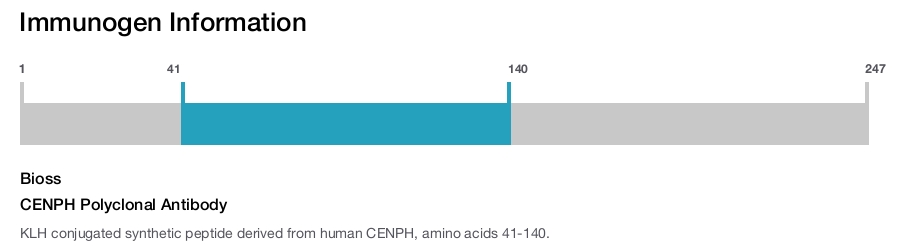 CENPH Polyclonal Antibody