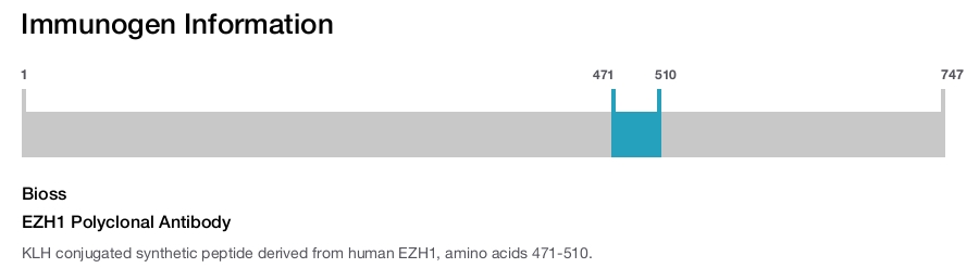 EZH1 Polyclonal Antibody