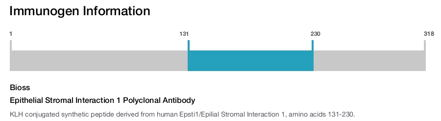Epithelial Stromal Interaction 1 Polyclonal Antibody