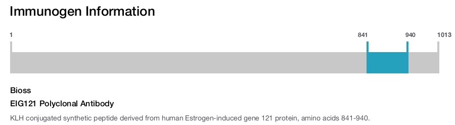 EIG121 Polyclonal Antibody