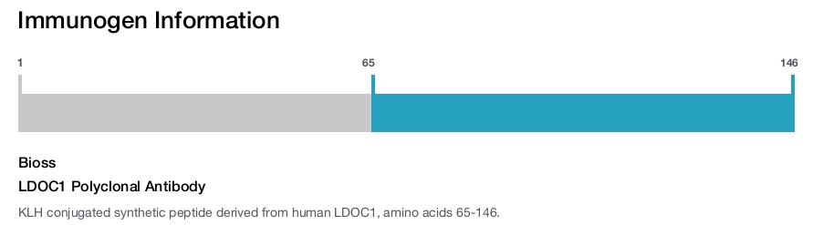 LDOC1 Polyclonal Antibody