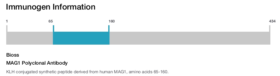 MAG1 Polyclonal Antibody