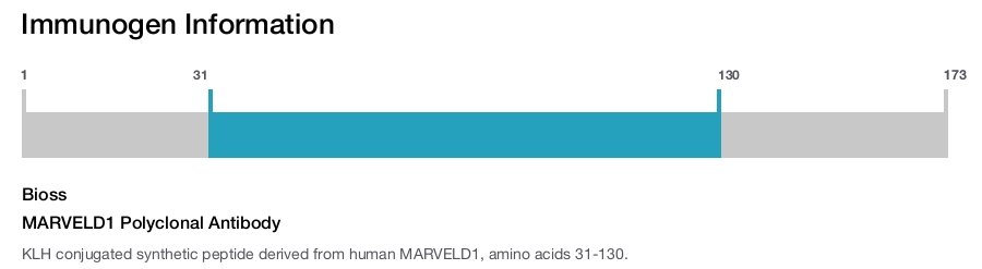 MARVELD1 Polyclonal Antibody