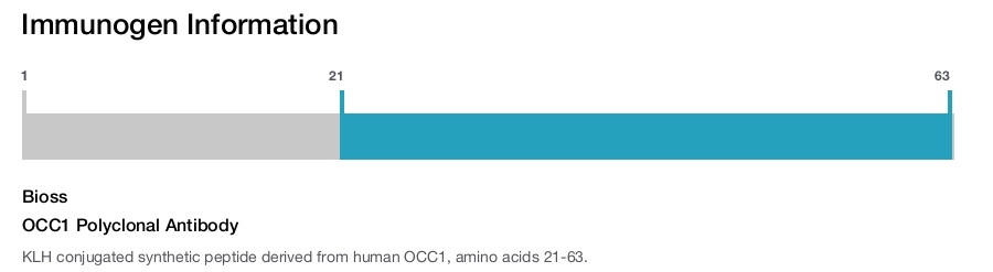 OCC1 Polyclonal Antibody