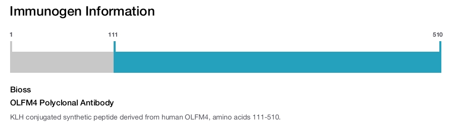 OLFM4 Polyclonal Antibody
