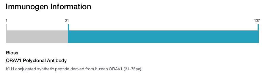 ORAV1 Polyclonal Antibody
