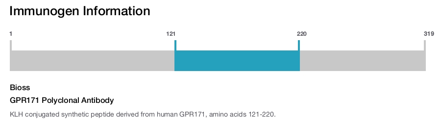 GPR171 Polyclonal Antibody