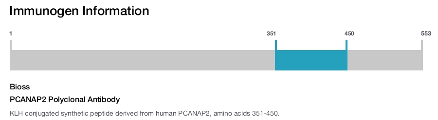 PCANAP2 Polyclonal Antibody