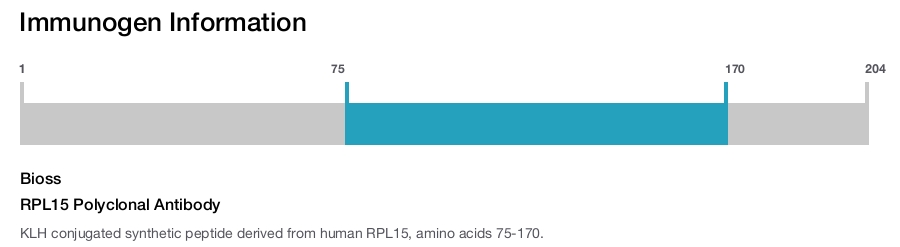 RPL15 Polyclonal Antibody