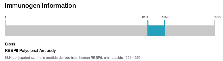 RBBP6 Polyclonal Antibody