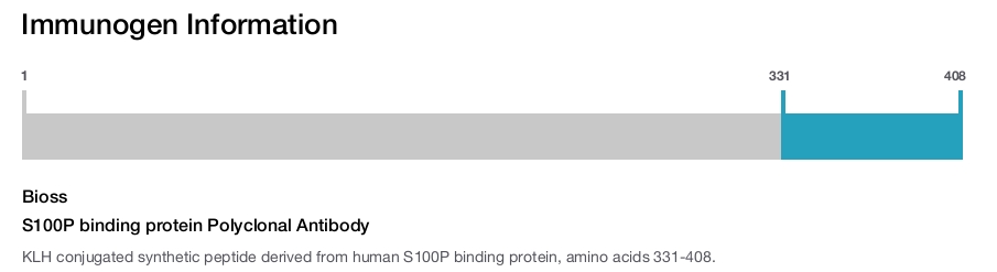S100P binding protein Polyclonal Antibody