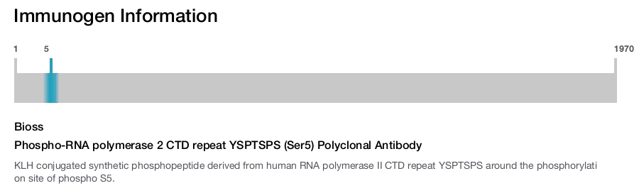 Phospho-RNA polymerase 2 CTD repeat YSPTSPS (Ser5) Polyclonal Antibody
