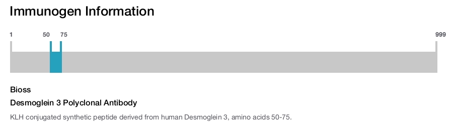 Desmoglein 3 Polyclonal Antibody