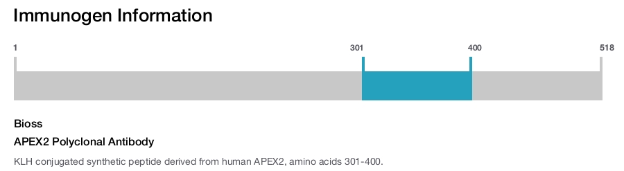 APEX2 Polyclonal Antibody