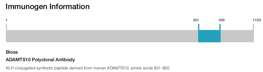 ADAMTS10 Polyclonal Antibody