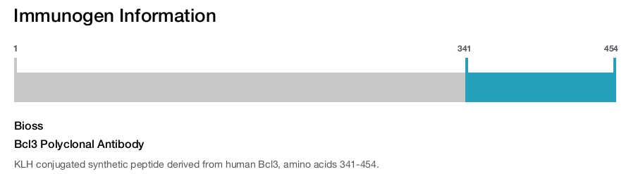 Bcl3 Polyclonal Antibody