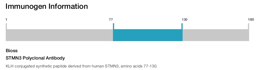 STMN3 Polyclonal Antibody