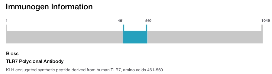 TLR7 Polyclonal Antibody