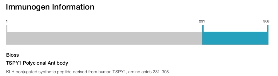TSPY1 Polyclonal Antibody