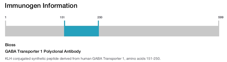GABA Transporter 1 Polyclonal Antibody