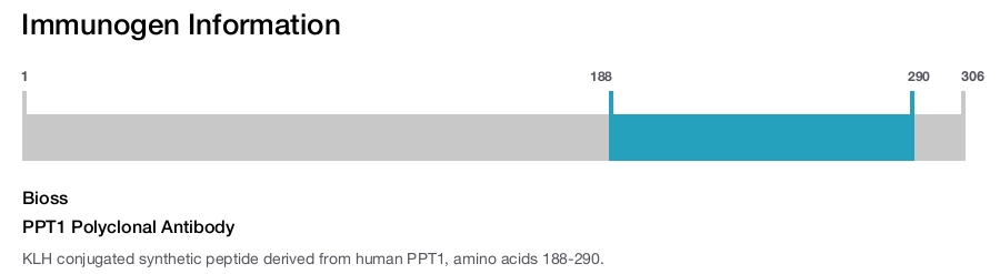 PPT1 Polyclonal Antibody