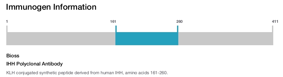 IHH Polyclonal Antibody