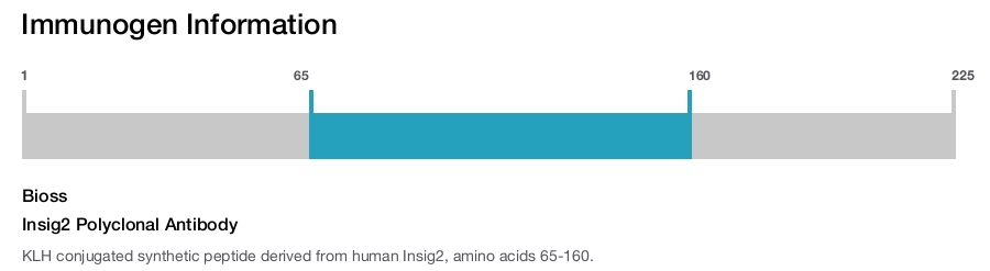 Insig2 Polyclonal Antibody