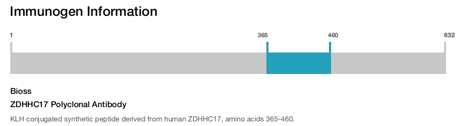 ZDHHC17 Polyclonal Antibody