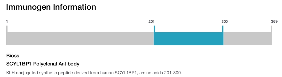 SCYL1BP1 Polyclonal Antibody