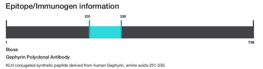 Gephyrin Polyclonal Antibody