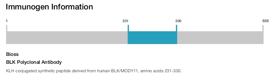 BLK Polyclonal Antibody