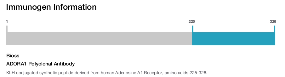 ADORA1 Polyclonal Antibody