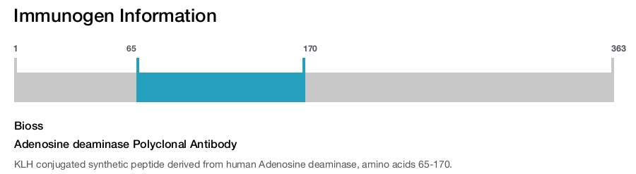 Adenosine deaminase Polyclonal Antibody