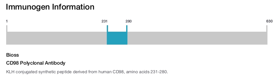 CD98 Polyclonal Antibody