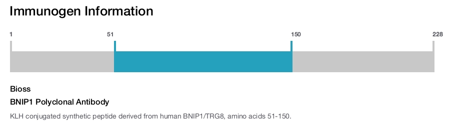 BNIP1 Polyclonal Antibody