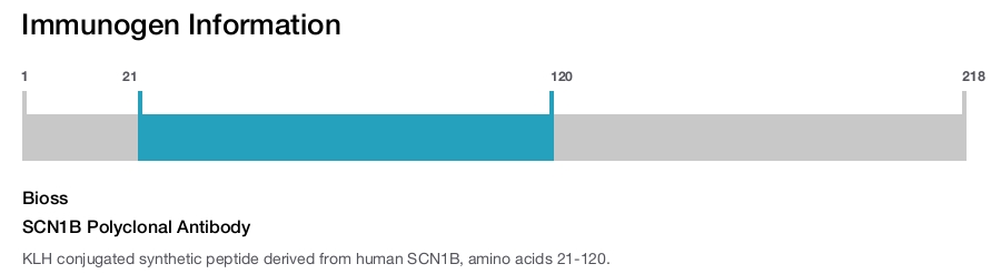 SCN1B Polyclonal Antibody