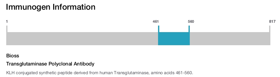 Transglutaminase Polyclonal Antibody