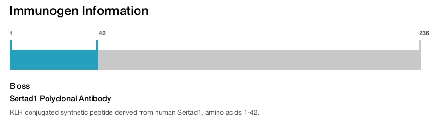 Sertad1 Polyclonal Antibody