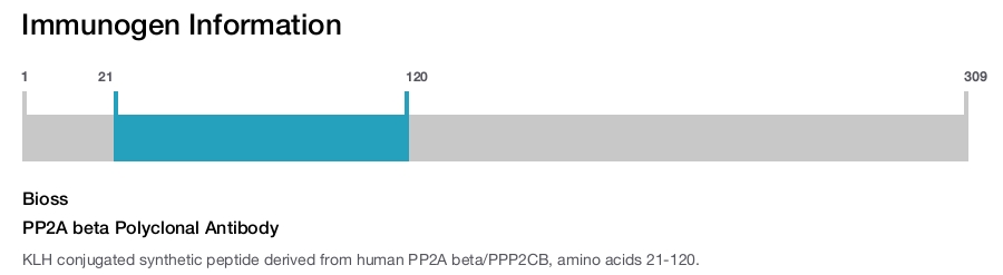 PP2A beta Polyclonal Antibody