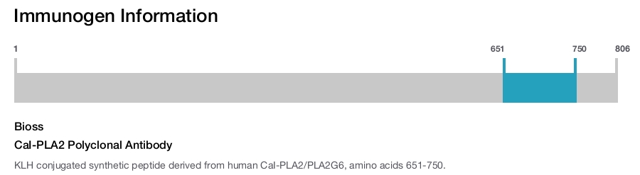 CaI-PLA2 Polyclonal Antibody