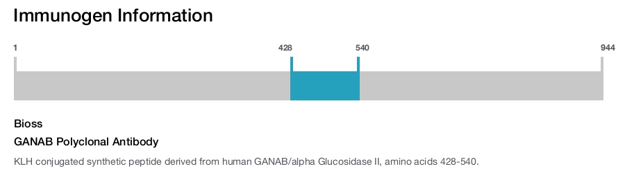 GANAB Polyclonal Antibody